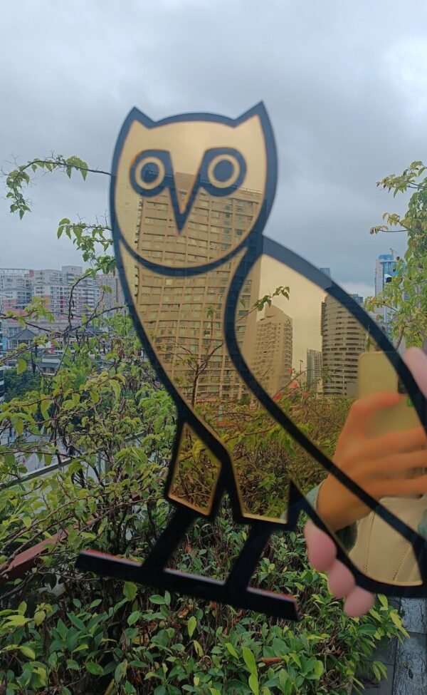 Reflective surface of the OVO owl round mirror.