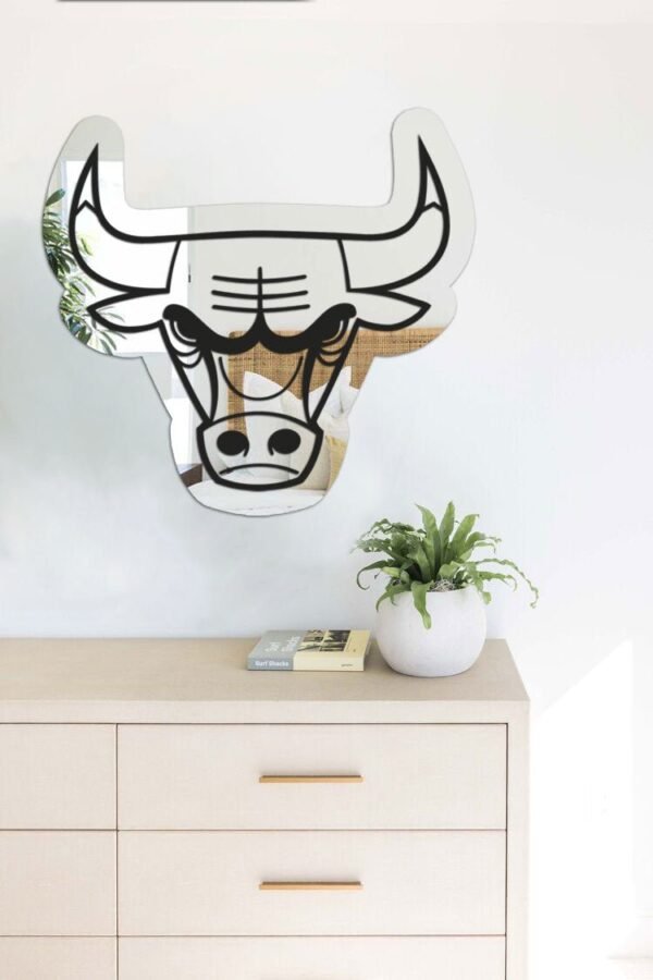 Decorative mirror featuring Chicago Bulls emblem.