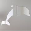 Dolphin-shaped mirror with reflective surface and hanging fixture.