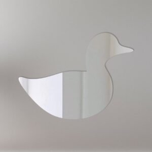 Reflective 'Duck 1' road sign with mirror finish and duck graphic.