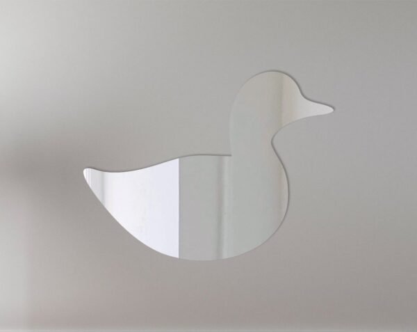 Reflective 'Duck 1' road sign with mirror finish and duck graphic.