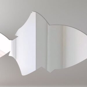 Mirror sign shaped like a fish with 'Fish 1' text.