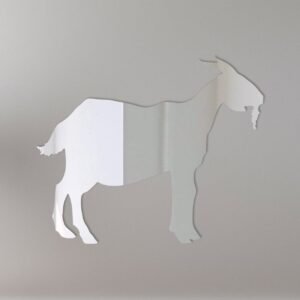 Reflective 'Goat 1' sign with mirror background and bold text.