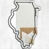 Illinois Home Custom Mirror