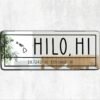 Hilo Hawaii Coordinates Mirror