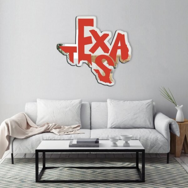 "Mirror shaped like the outline of Texas state"