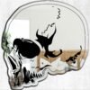 Frameless mirror featuring a bold skull design