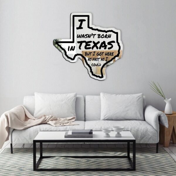 I Wasn't Born In Texas, But I Got Here As Fast As I Could Mirror