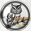 Owl Mirror - Round Acrylic Mirror Featuring Owl Print Design