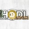 Dogecoin DOGE Cryptocurrency Acrylic Mirror - Custom Mirror Featuring Dogecoin Design