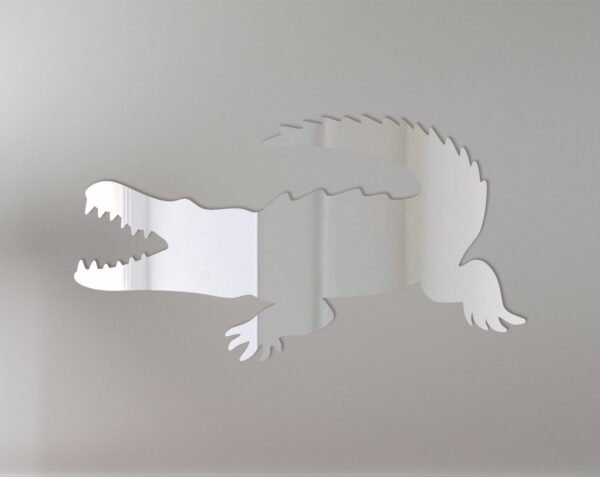 Crocodile Mirror Sign