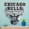 Chicago Bulls Mirror