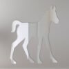 Foal Mirror Sign