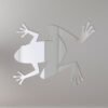 Frog Mirror Sign