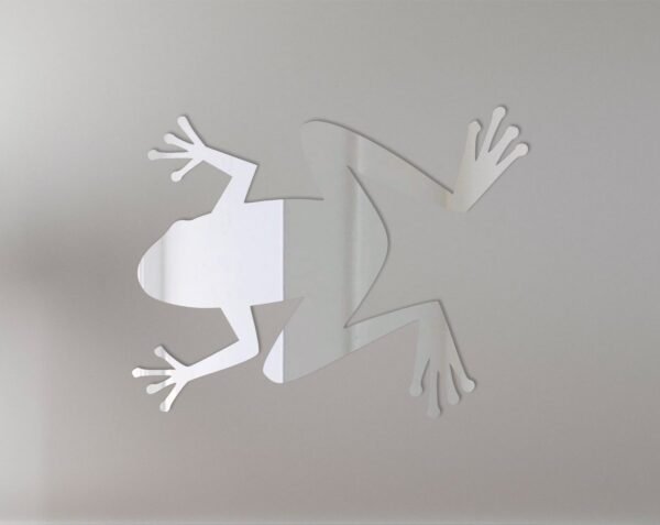Frog Mirror Sign