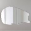 Hedgehog Mirror Sign