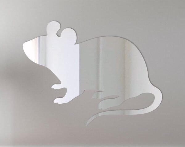 Mouse 2 Mirror Sign