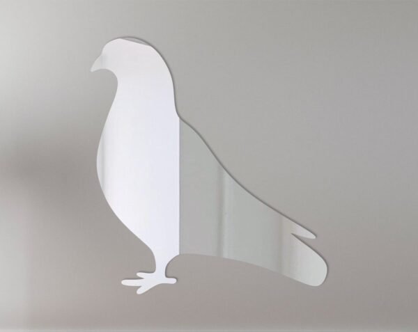Pigeon Mirror Sign