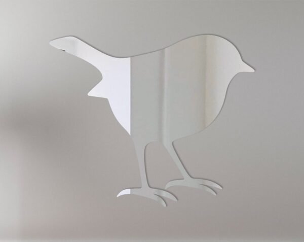 Robin Mirror Sign