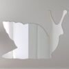 Snail Mirror Sign