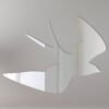 Swallow Mirror Sign