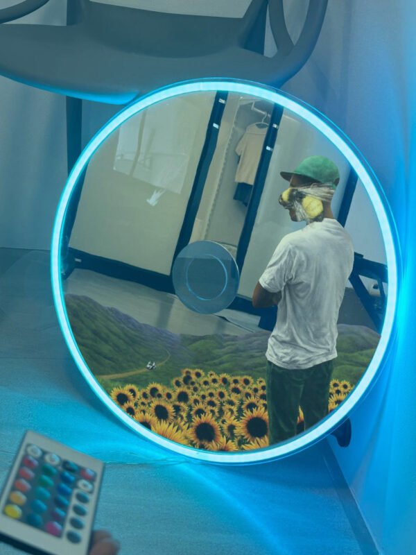 Tyler, The Creator Flower Boy RGB CD mirror with LED lighting