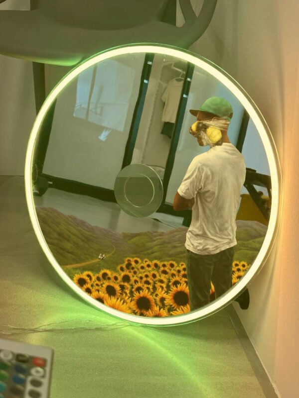 Tyler, The Creator CD mirror with glowing RGB lights