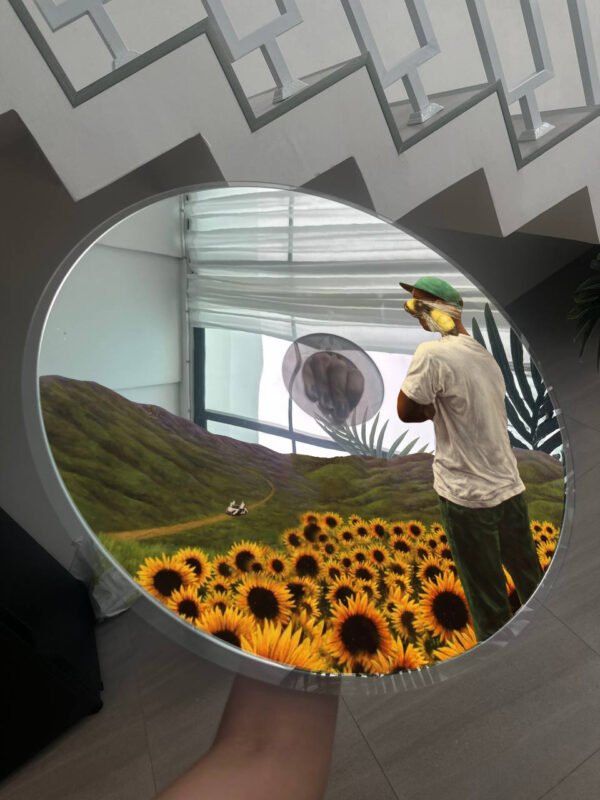 Tyler, The Creator Flower Boy-inspired wall mirror